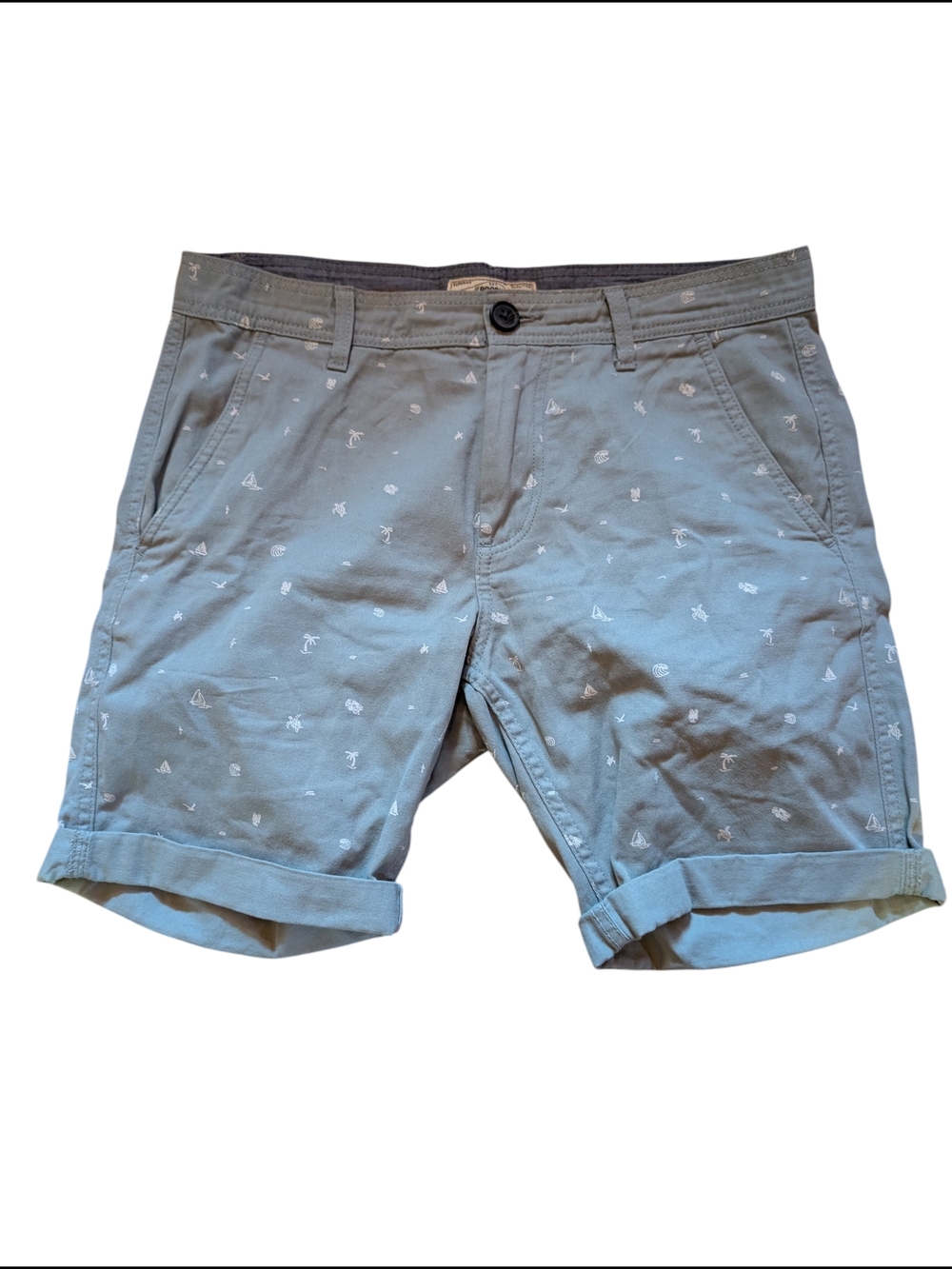Men's Light Blue Green Printed Cotton Chino Shorts